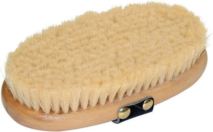 Kerbl Pferdekardätsche Bürste mit Holzrücken für die Pferdepflege – Bild 1 von 2