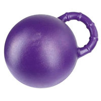 Produktbild von Kerbl Pferdespielball aus Kunststoff in Lila mit Minzgeschmack