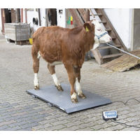 Produktbild von Kerbl Plattformwaage PS2000 Tierwaage bis 1000 kg