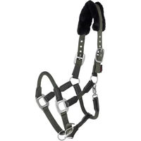 Produktbild von Kerbl Pony Halfter Cordano aus Nylon in Grün