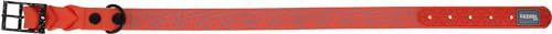 Kerbl Puno Hundehalsband wasserfest Kunststoff Orange 25mm 46-55 cm – Bild 1 von 5
