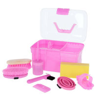 Produktbild von Kerbl Putzbox für Kinder in Rosa mit 8-teiligem Pferdepflege-Zubehör aus Kunststoff