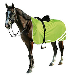 Kerbl Reflektierende Sicherheitsdecke für Pferde aus Polyester 145 cm – Bild 1 von 4