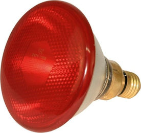 Kerbl Rotlichtlampe PAR38 Rot 175 Watt aus Glas für Hühnerställe - 175 Stk. – Bild 1 von 2