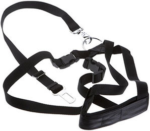 Kerbl Sicherheitsgeschirr für Hunde Autosicherheitsgurt aus Nylon Schwarz Größe L – Bild 1 von 3