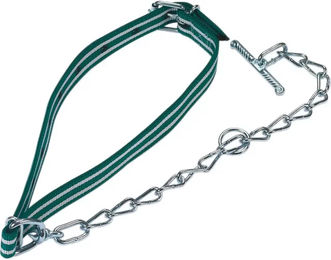 Kerbl Standard-Klammern mit Kette aus Leder in Grün und Weiß – Bild 1 von 1