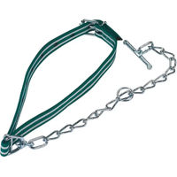 Produktbild von Kerbl Standard-Klammern mit Kette aus Leder in Grün und Weiß