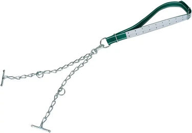 Kerbl Standard-Steigklemme mit Doppelkette – Bild 1 von 1