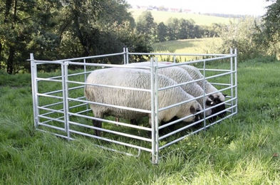 Kerbl Steckhorde Schaf Panel Zaunelement aus Stahl 275 cm – Bild 1 von 3