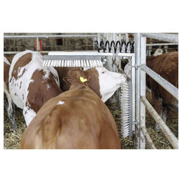 Kerbl Texas Viehbürste zur Fellpflege für Rinder, Kühe und Pferde – Bild 1 von 7