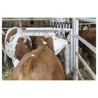 Produktbild von Kerbl Texas Viehbürste zur Fellpflege für Rinder, Kühe und Pferde