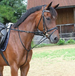 Kerbl Thiedemannzügel aus Leder in Schwarz für Ponys – Bild 1 von 2