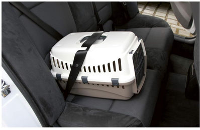 Kerbl Transportbox Expedion für Hunde und Katzen aus Kunststoff, Beige, Größe S – Bild 1 von 13