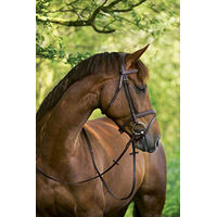 Produktbild von Kerbl Trensenzaum Classic aus Leder für Ponys in Braun