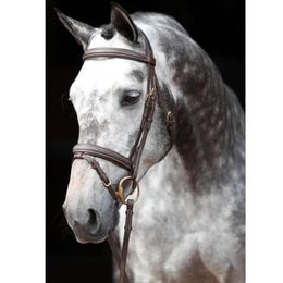 Kerbl Trensenzaum Classic aus Leder für Warmblut in Schwarz – Bild 1 von 6