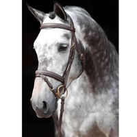 Produktbild von Kerbl Trensenzaum Classic aus Leder für Warmblut in Schwarz