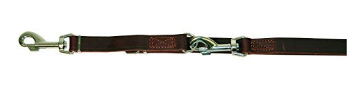 Kerbl Vegas Führleine für Hunde aus Leder braun 240 cm - 240 cm – Bild 1 von 8