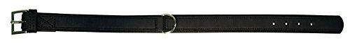 Kerbl Vegas HQ Hundehalsband aus Leder Schwarz 25mm 47cm – Bild 1 von 3