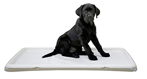 Kerbl Welpentoilette XL Hundetoilette aus Kunststoff in Beige für Welpen und Hunde - 90 cm – Bild 1 von 3