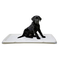 Produktbild von Kerbl Welpentoilette XL Hundetoilette aus Kunststoff in Beige für Welpen und Hunde - 90 cm