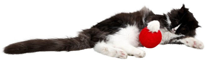 Kerbl Wollspielball für Katzen Rot 10cm – Bild 1 von 5