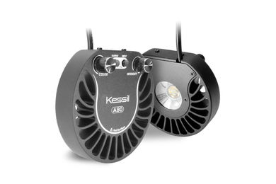 Kessil A80 Tuna Blue LED Aquarium Beleuchtung Schwarz – Bild 1 von 1