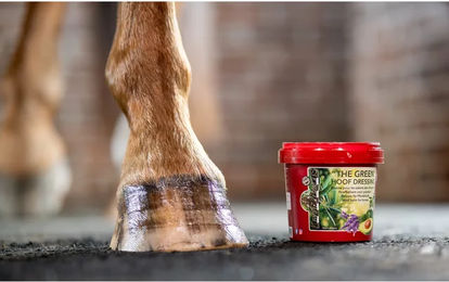 Produktbild von Kevin Bacon's Hoof Dressing The Green Hufcreme für Pferde 5000ml - 5 l