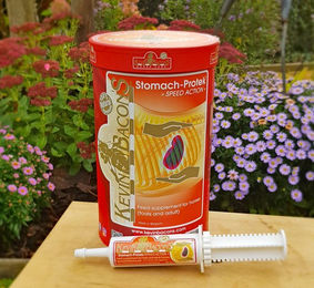 Produktbild von Kevin Bacon's StomachProtek Assist Magen-Darm Pulver 1600g