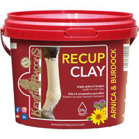 Produktbild von Kevin Bacon's Tonerde Recup Clay Rot 1500g