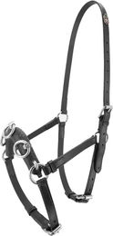 Produktbild von Kieffer Caveçon für Pferde aus Leder in Schwarz