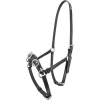 Produktbild von Kieffer Caveçon für Pferde aus Leder in Schwarz