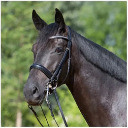 Produktbild von Kieffer Gebiss Doppelte Reitzunge Comfort Lyon für Vollblut in Schwarz