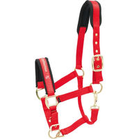 Produktbild von Kieffer Halfter für Fohlen aus Nylon in Rot