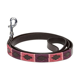Kieffer Hunde Leder Leine Buenos Aires braun 160 cm – Bild 1 von 3