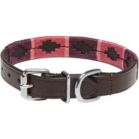 Produktbild von Kieffer Hundehalsband Buenos Aires aus Leder in Braun mit Chrombeschlägen