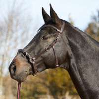 Produktbild von Kieffer Kappzaum Ultrasoft aus Leder für Warmblut in Braun