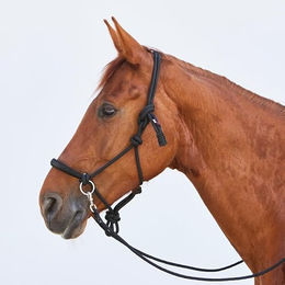 Kieffer Knotenhalfter Ruby für Warmblut Pferde in Schwarz-Bordeaux aus Nylon – Bild 1 von 6