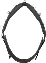 Kieffer Longiergurt Essentials Circle Pony Schwarz aus Nylon – Bild 1 von 3