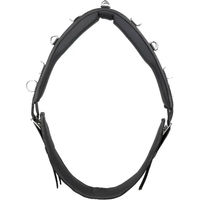 Produktbild von Kieffer Longiergurt Essentials Circle Pony Schwarz aus Nylon