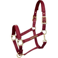 Produktbild von Kieffer Satin Shine Stallhalfter aus Nylon für Ponys in Rot