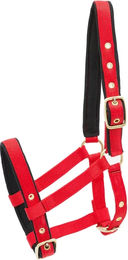 Kieffer Stallhalfter aus Nylon für Fohlen in Rot – Bild 1 von 3