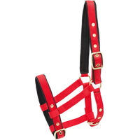 Produktbild von Kieffer Stallhalfter aus Nylon für Fohlen in Rot
