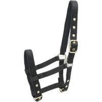Produktbild von Kieffer Stallhalfter aus Nylon für Fohlen in Schwarz