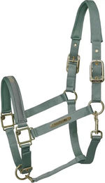 Kieffer Stallhalfter Satin Shine aus Nylon für Ponys in Grün – Bild 1 von 5