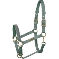 Produktbild von Kieffer Stallhalfter Satin Shine aus Nylon für Ponys in Grün