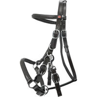 Produktbild von Kieffer Trail Trense mit Chrombeschlägen für Warmblut Pferde