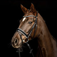 Produktbild von Kieffer Trensenzaum Comfort Lyon aus Leder in Schwarz für Warmblut