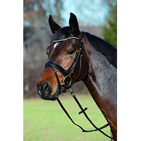 Produktbild von Kieffer Trensenzaum Comfort Young Profi aus Leder für Ponys mit Messingbeschlägen