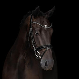 Kieffer Trensenzaum Grace aus Leder mit Kristallbiese in Schwarz für Warmblut Pferde – Bild 1 von 5