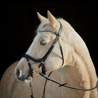 Produktbild von Kieffer Trensenzaum Ilona Leder mit Perlen und Kristallen für Pony und Araber